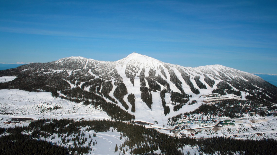 Understanding Avalanches on the Island