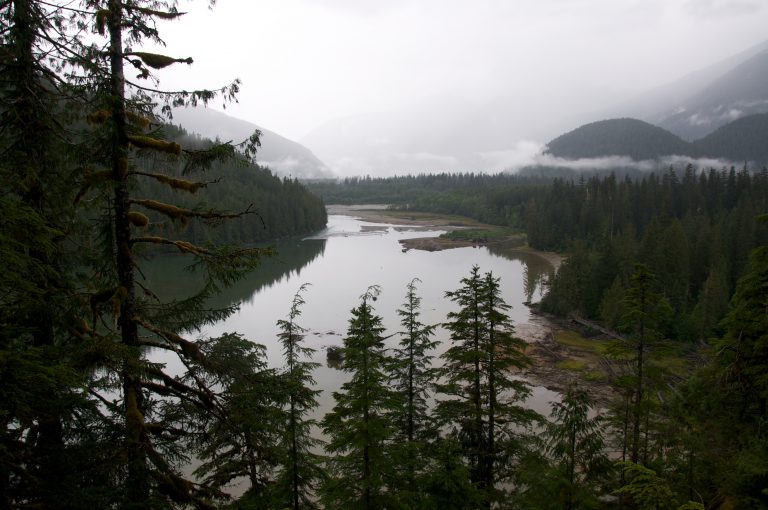 Great Bear Rainforest Act legislation now in effect