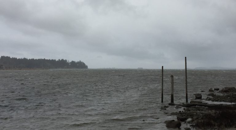 Strong winds predicted as wind warning issued for North Vancouver Island