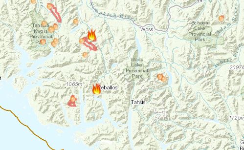 Heavy rain quells North Island wildfires