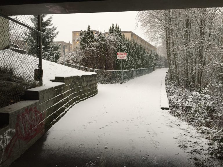 Wet snow in forecast for much of North Island