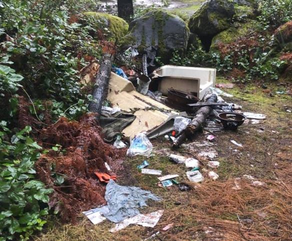 Mary Lake cleanup positive experience for volunteers