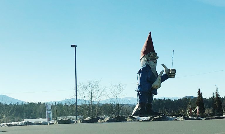 GoFundMe page created for Nanoose Bay gnome