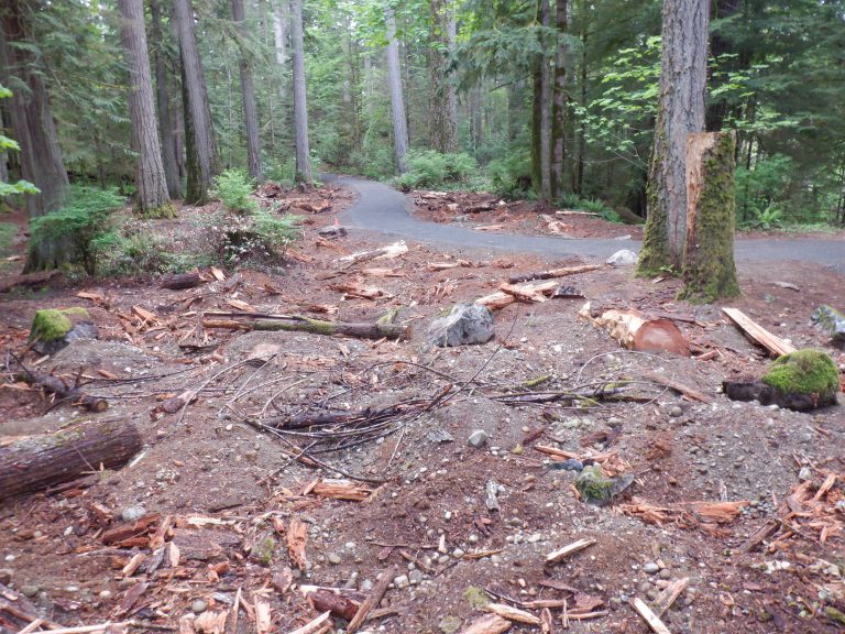 Elk Falls Provincial Park to see small expansion at end of hydro project 