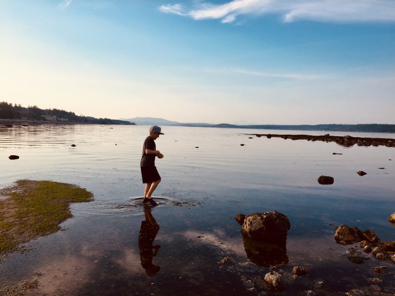 Heat records fall as high ridge system anchors on Vancouver Island, Sunshine Coast 