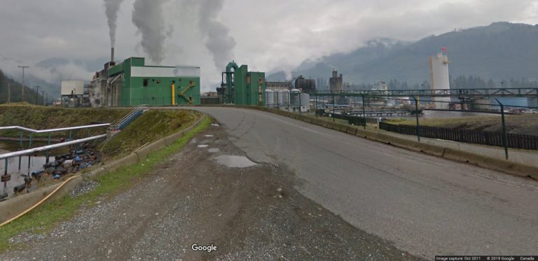 Arterran Renewables ‘very serious’ about moving to Neucel mill