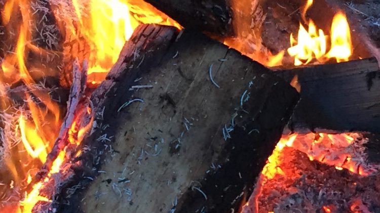 Coastal Fire Centre opts not to enforce Category 2 fire ban this weekend