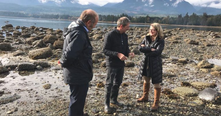 Province helping oyster farmers keep shucking