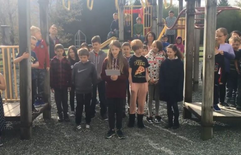 Sayward, Black Creek in running for $100,000 in playground revitalization contest