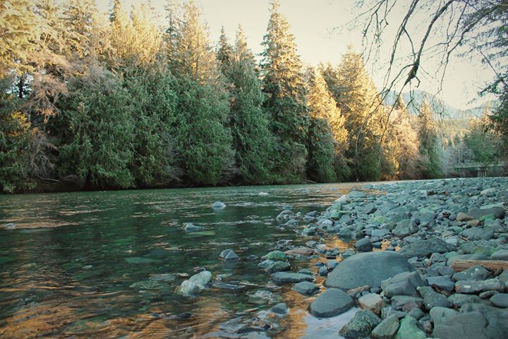 Sayward RV resort to be featured on Nanaimo fishing show