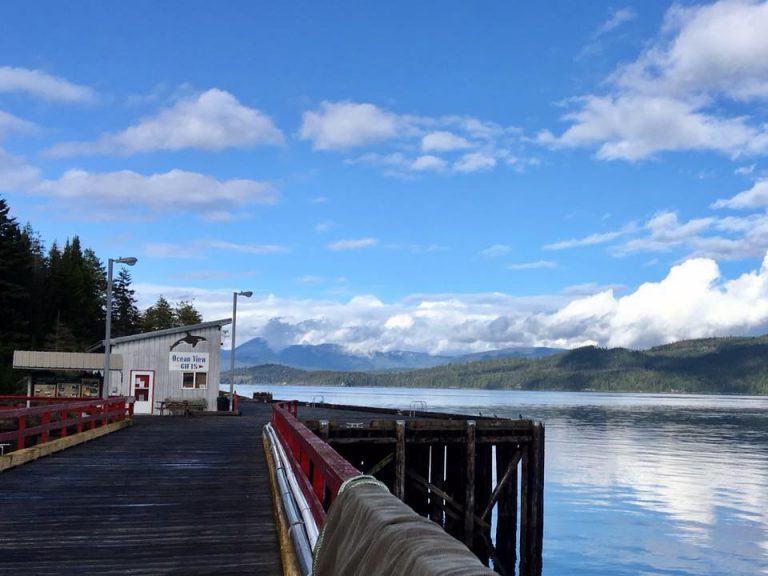 Sayward Futures Society getting new hydrophone thanks to funding