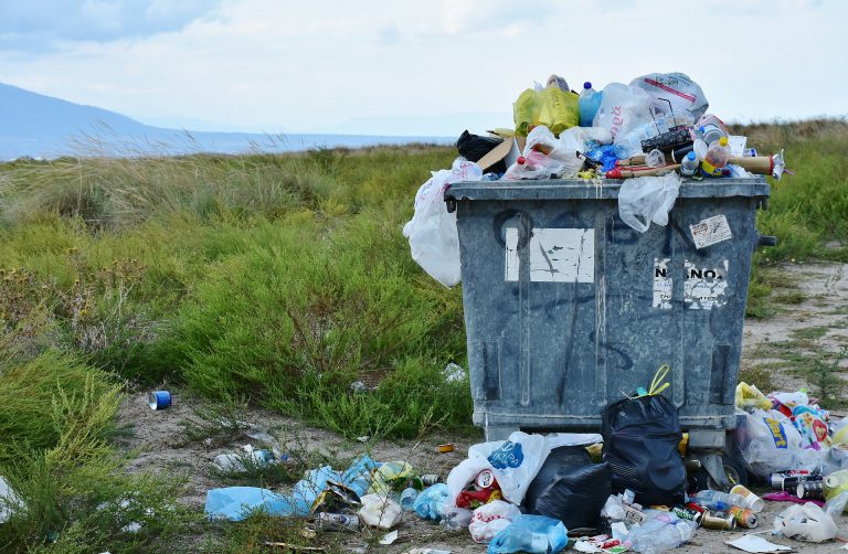 Comox Strathcona Waste Management looking for clean-up volunteers