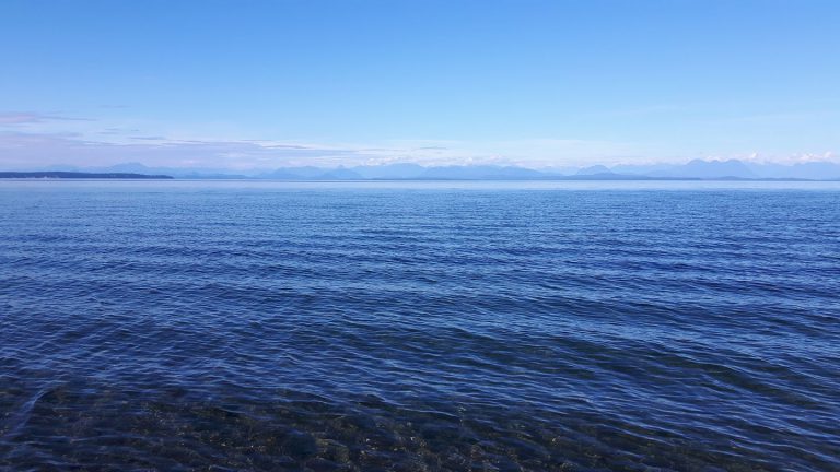 WWF study: cruise ships dumping billions of litres of grey water off B.C. shores