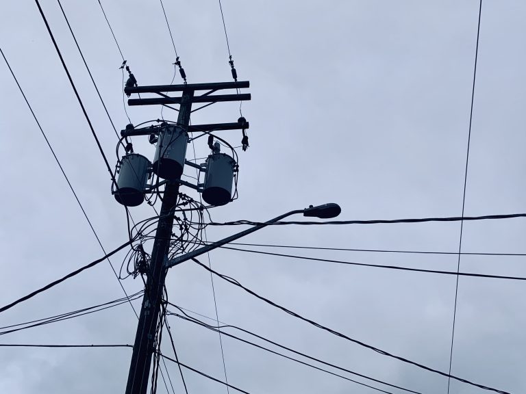 Picking up downed power lines could have serious consequences: BC Hydro