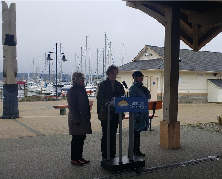 Province wants to hear thoughts for future ferry services