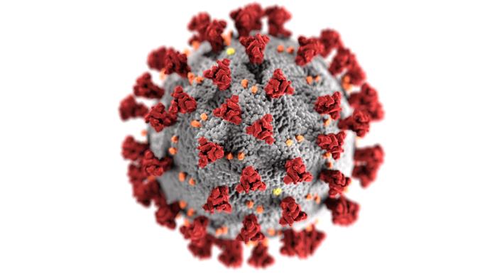 BC COVID-19 cases grow by 77