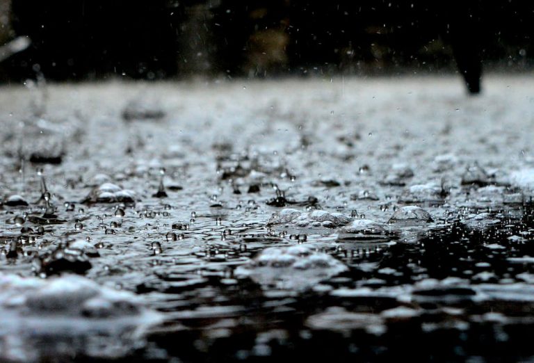 ‘Not out of the woods yet’: Consistent rain needed after forecasted for the first time in weeks