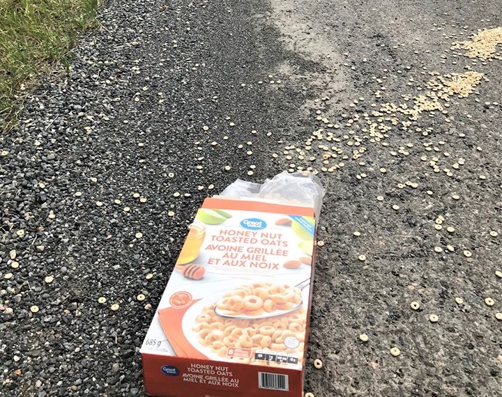Man charged after throwing box of cereal at bear in northern B.C.