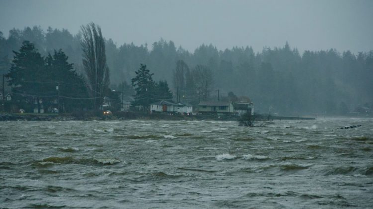 Strong winds to hit North Vancouver Island