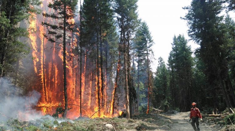 So far, so good for wildfire season on Vancouver Island, Sunshine Coast