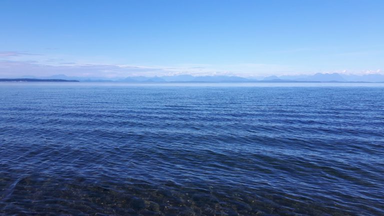 Province collaborating with First Nations, federal government to preserve future of North Island waters