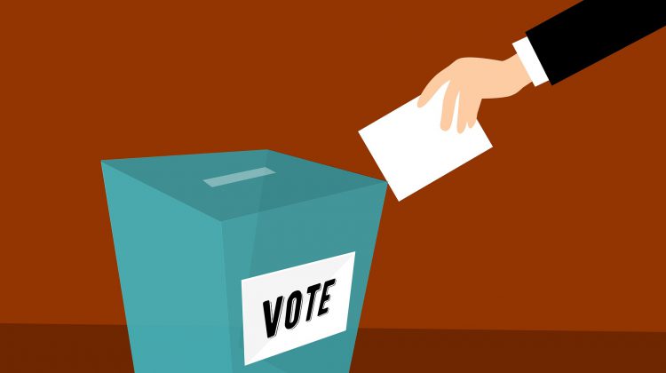 Several ways to cast your ballot in federal election