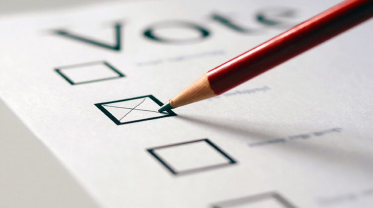 Voter turnout remained below 50% in municipal elections: CivicInfoBC