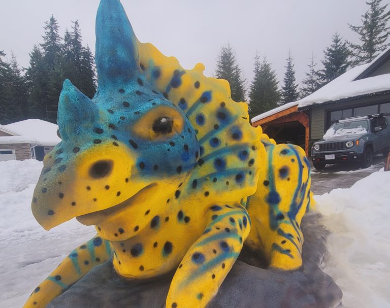 Unique snow sculptures turning heads on Vancouver Island