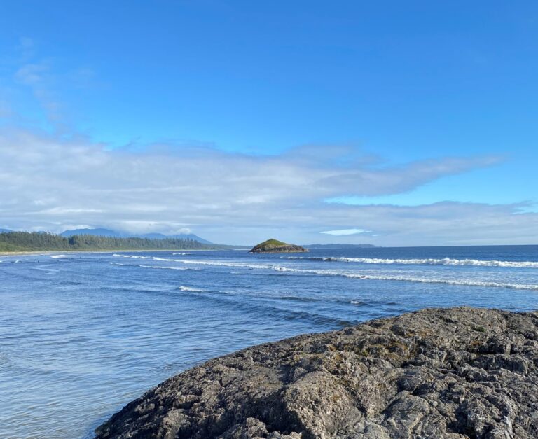 Dogs temporarily banned from Combers Beach in Pacific Rim National Park