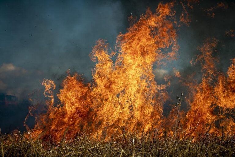 Lightning sparks ‘out of control’ wildfire on Vancouver Island