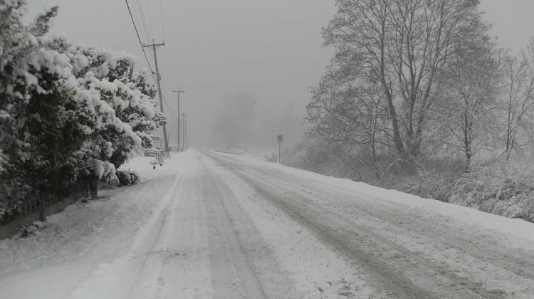 Snowfall expected to make landfall this weekend across the Island and Coast