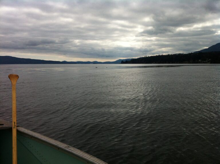 US Coast Guard rescues Vancouver Island man and his dog