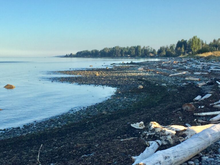 Coastal environmental organizations receive funding to clean up beaches