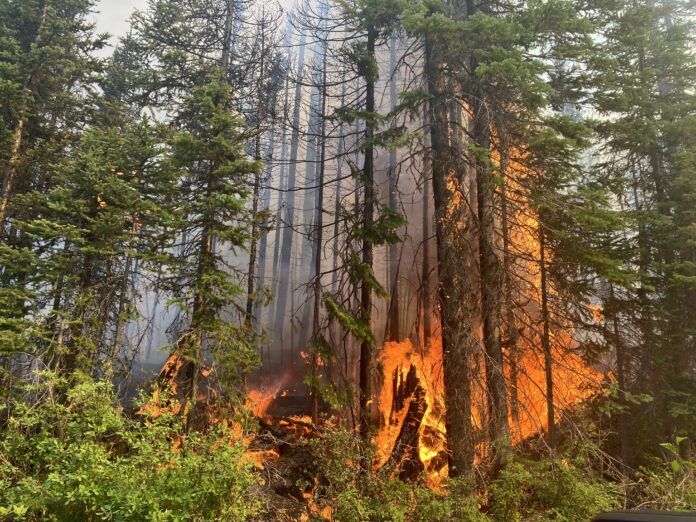 Dry Conditions Raise Threat of Wildfires