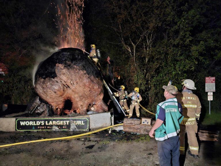 ‘Heart-breaking act of vandalism’ claims world’s largest burl