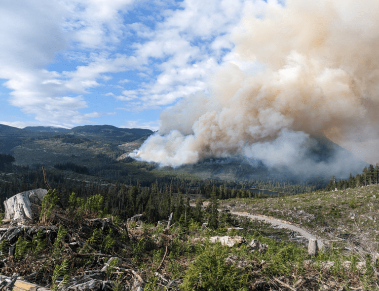 More than 50 firefighters tending to Sayward blaze