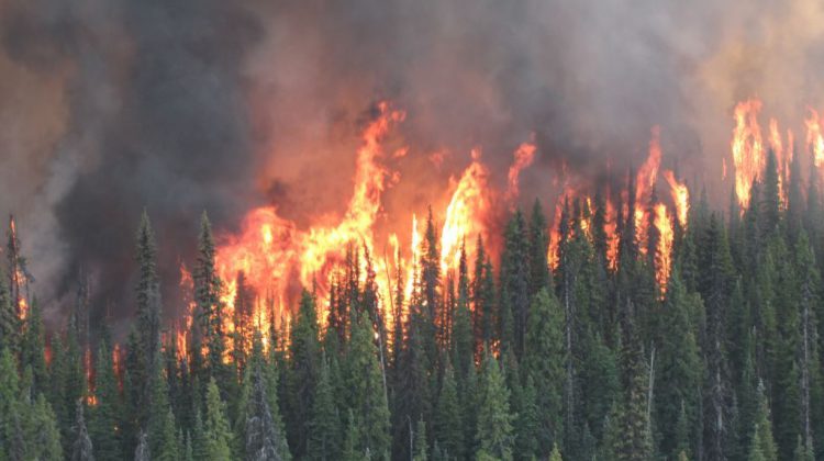 Forest fires, smoke, warm temperatures and heavy rain top weather events of 2023
