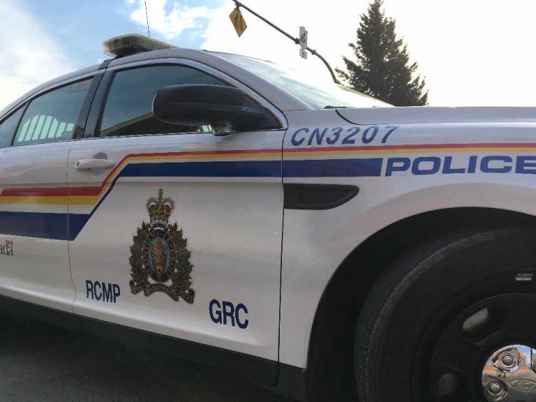 RCMP say safer supply prescription drugs are ‘minority’ in drug seizures