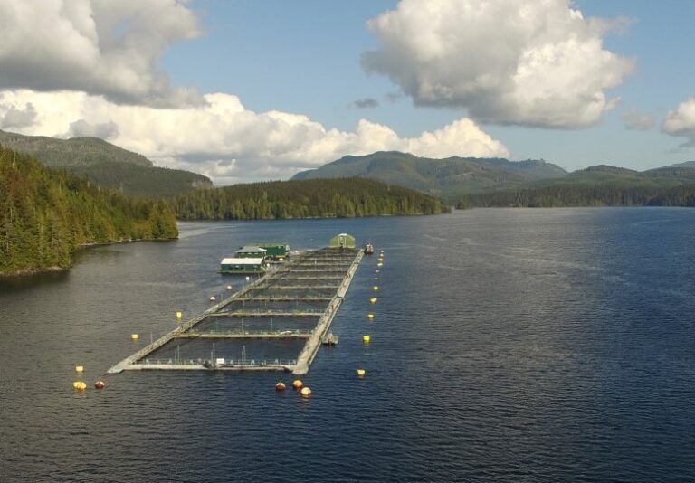 Mostly-closed containment farm being tested in Quatsino Sound