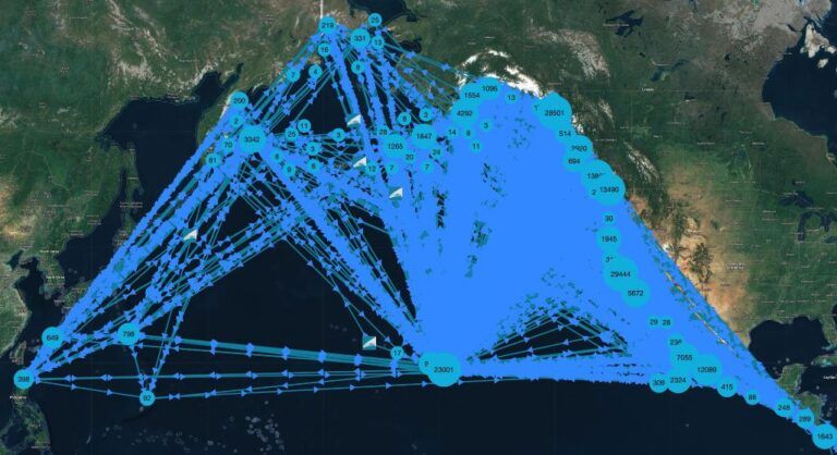 Citizen science data crucial part of new humpback whale tracking report