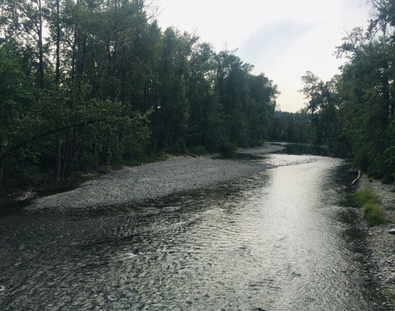 Preparations Being Made for Pumps to Maintain Cowichan River