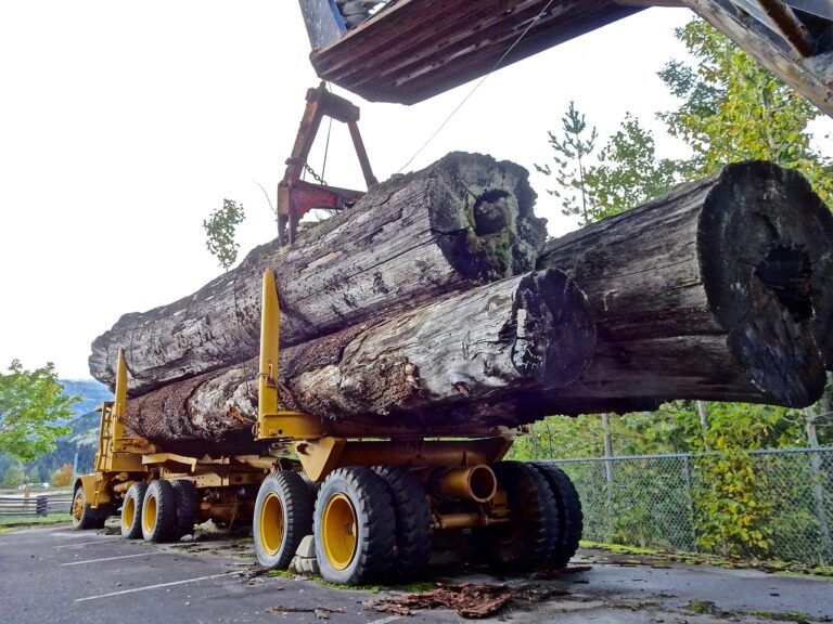 Canada looking to courts for softwood lumber dispute resolution