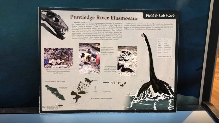 Bill for elasmosaur to become provincial fossil passes second reading