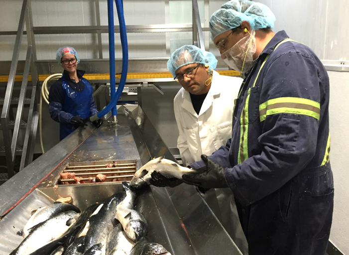 Salmon farmers agree to $5.25 million settlement over alleged price-fixing