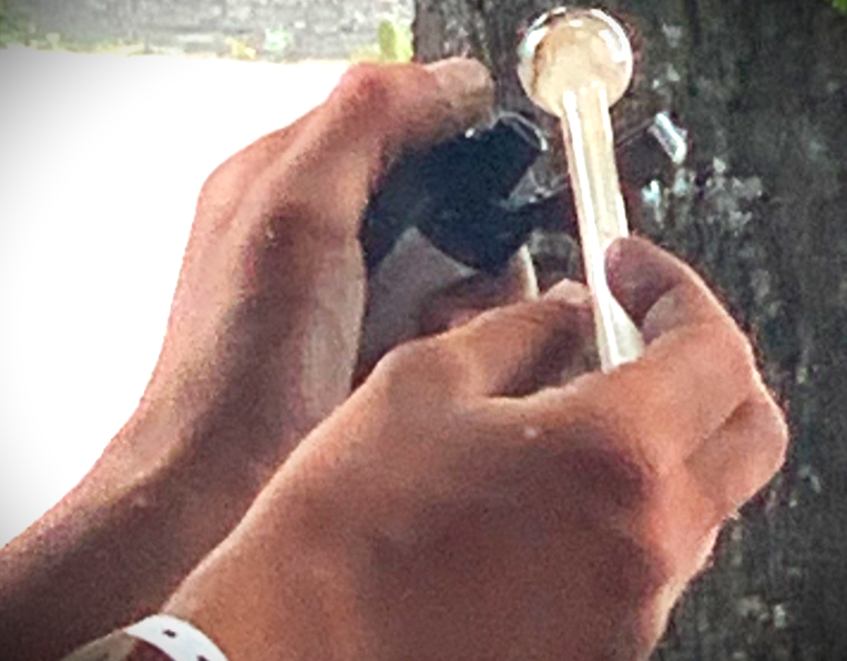 Province repeals redundant drug prevention law