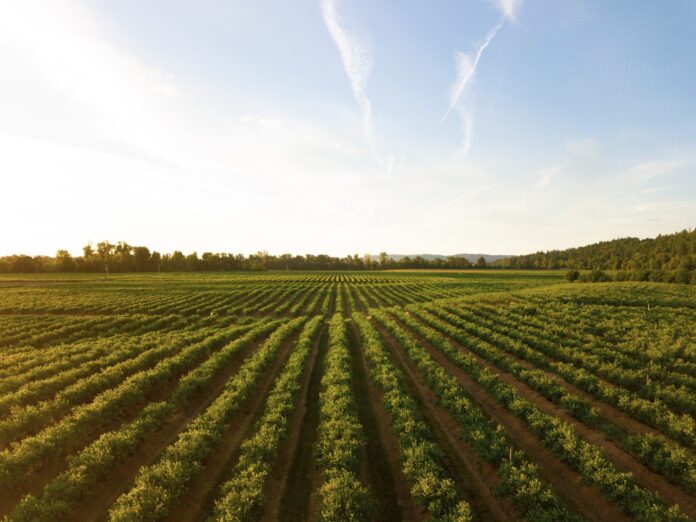 New BC program aims to help farmers access new technologies