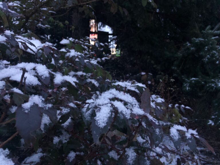 Mount Cain still waiting for snow, will need more than 60 cm to start