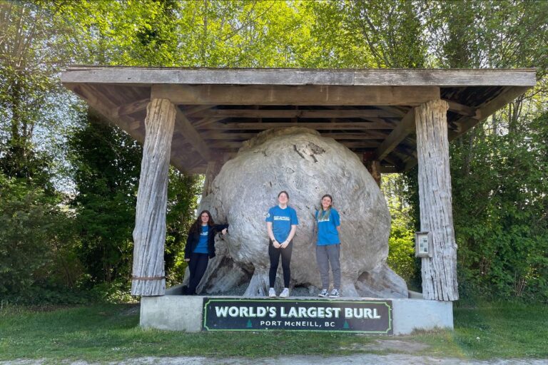 World’s largest burl to move in Port McNeill