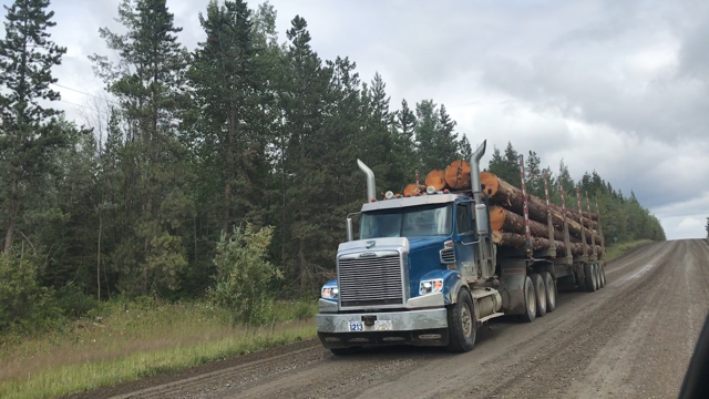 Island communities lost out on $1 billion thanks to new forestry policies: TLA boss