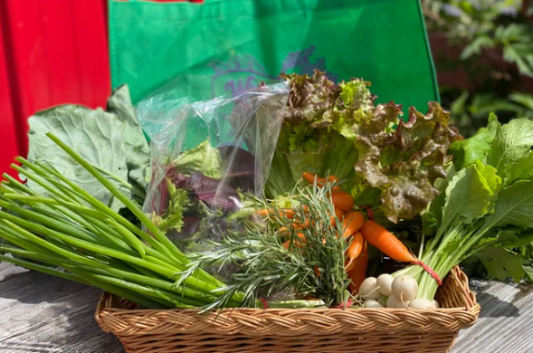 Island farm markets play increasingly important role in local food security